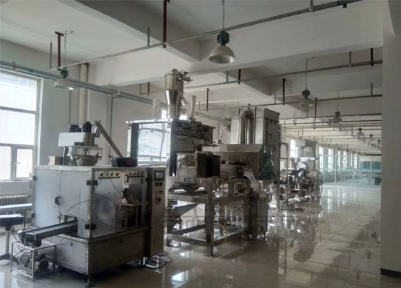 星火添加劑包裝設(shè)備生產(chǎn)線車間實(shí)拍