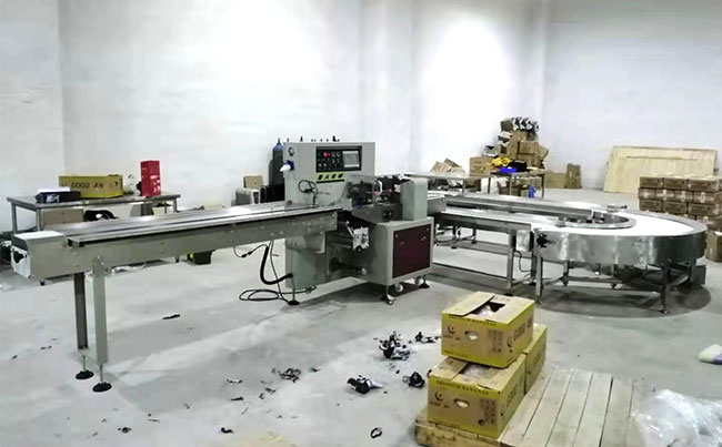 中央廚房配餐水果枕式包裝生產(chǎn)線案例展示